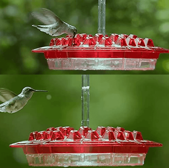Avelena | Ants Resistant Hummingbird Feeder | 30 Feeding Openings, UV Resistant & Ideal for Outdoor Bird Watching