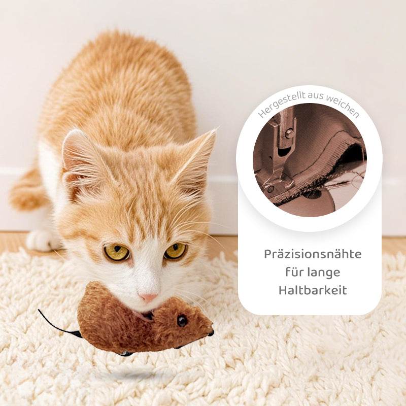 Avelena | CatPlay – Jagen, spielen, juchzen – der Spaß für deine Katze!