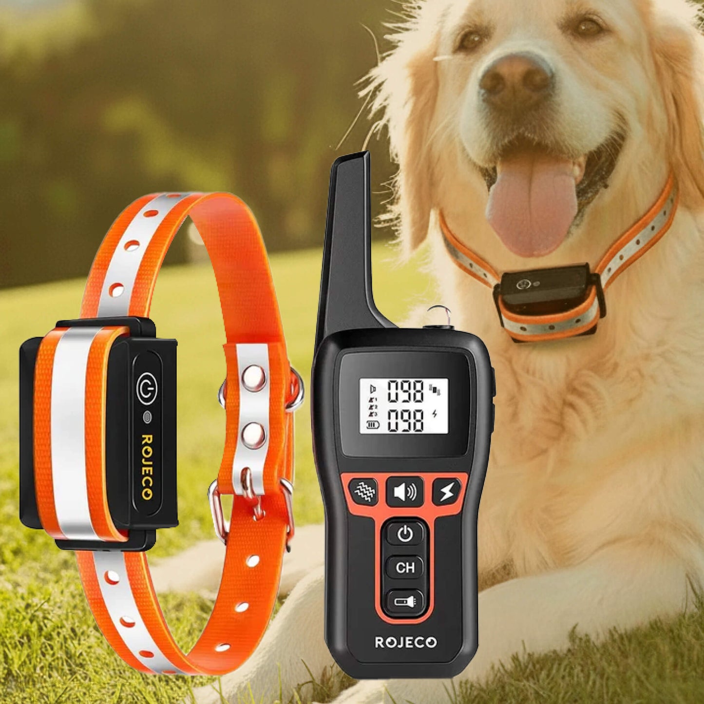 Avelena | 1000m wasserdichtes Hundetraining Halsband | Wiederaufladbar, Fernbedienung & verstellbar für kleine, mittlere und große Hunde