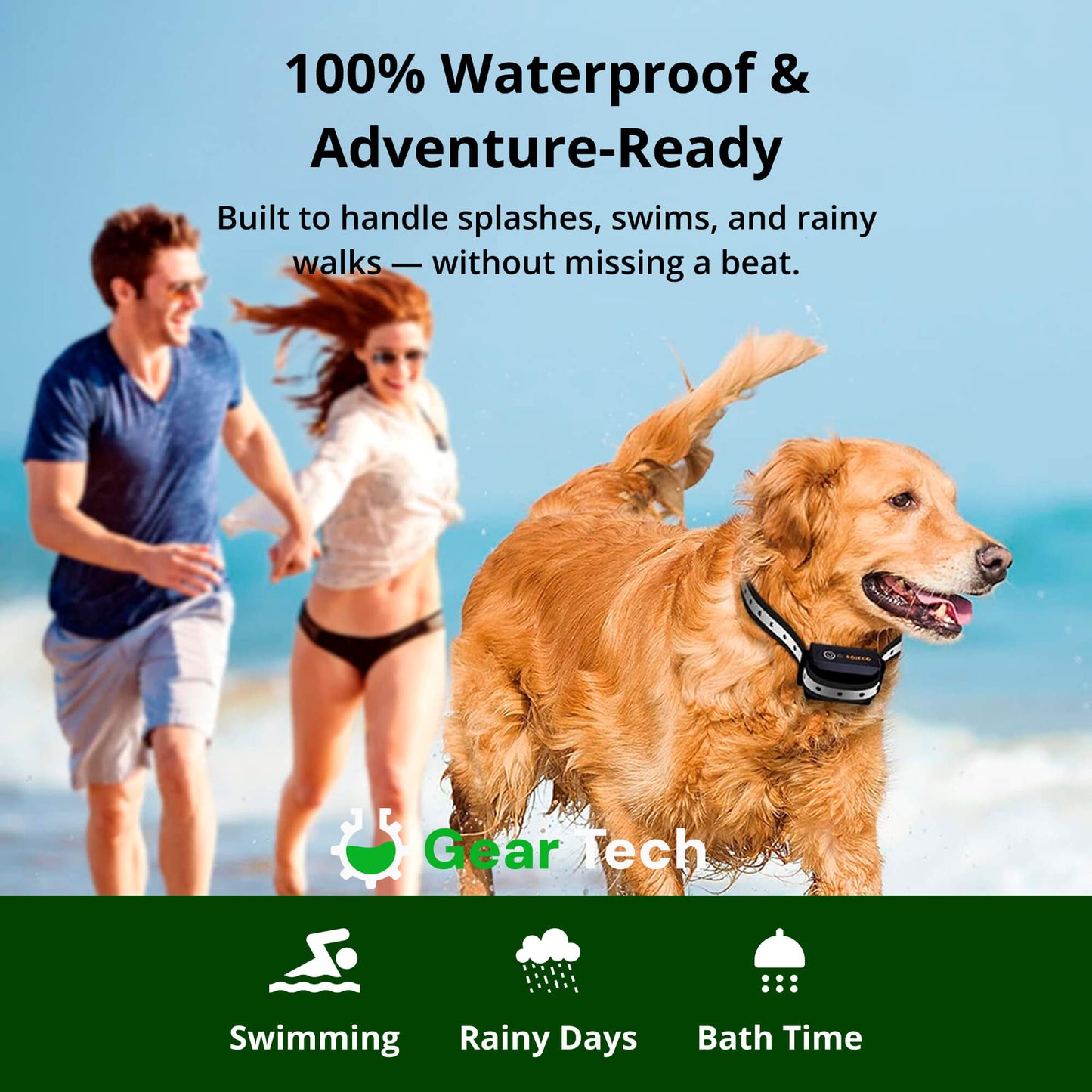 Avelena | 1000m wasserdichtes Hundetraining Halsband | Wiederaufladbar, Fernbedienung & verstellbar für kleine, mittlere und große Hunde