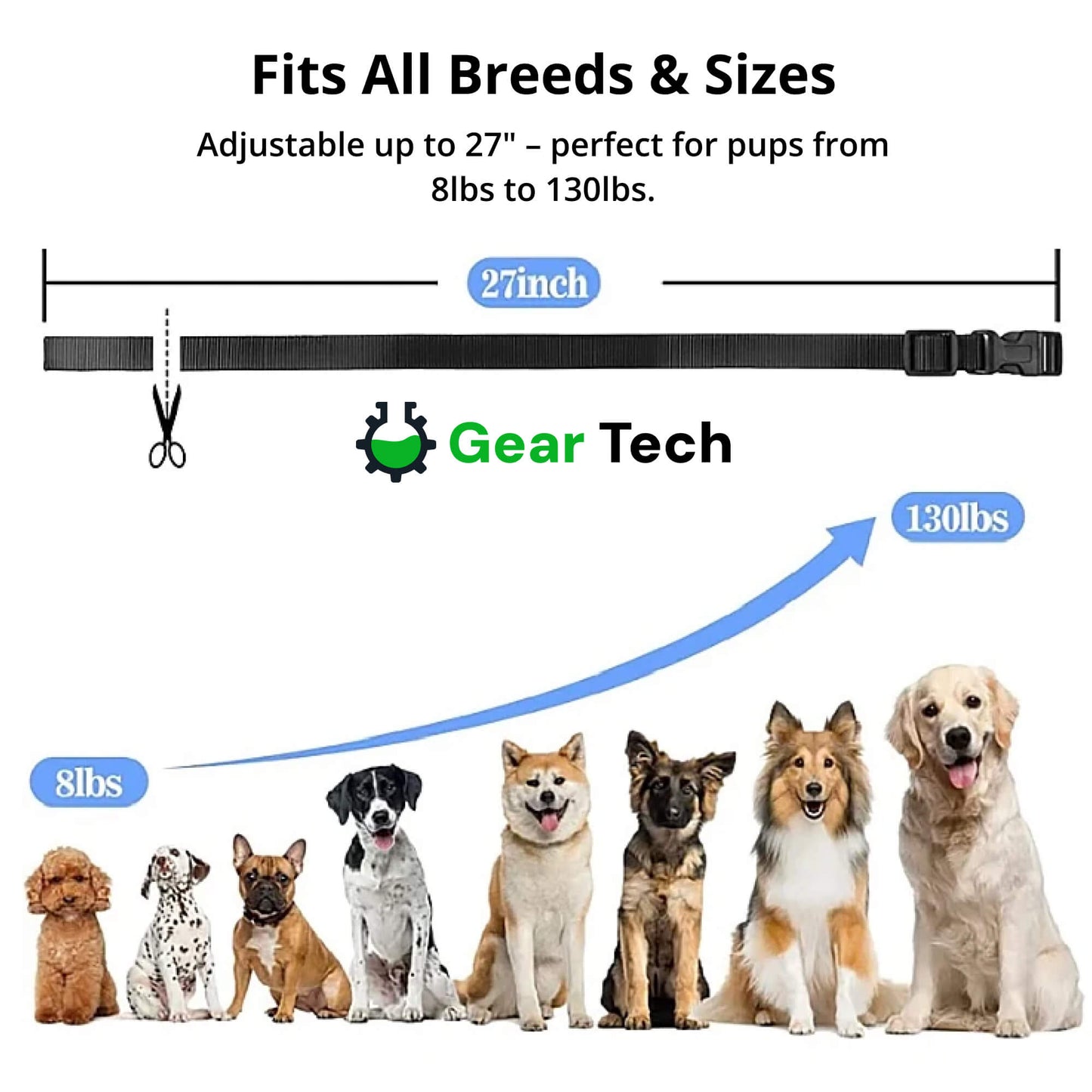 Avelena | 1000m wasserdichtes Hundetraining Halsband | Wiederaufladbar, Fernbedienung & verstellbar für kleine, mittlere und große Hunde