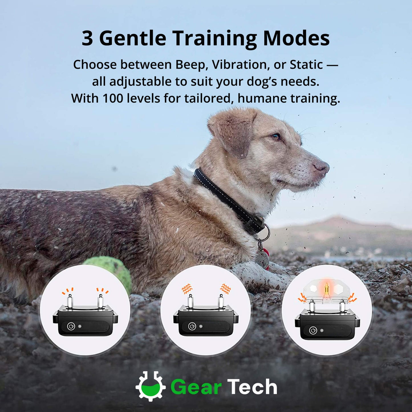 Avelena | 1000m wasserdichtes Hundetraining Halsband | Wiederaufladbar, Fernbedienung & verstellbar für kleine, mittlere und große Hunde