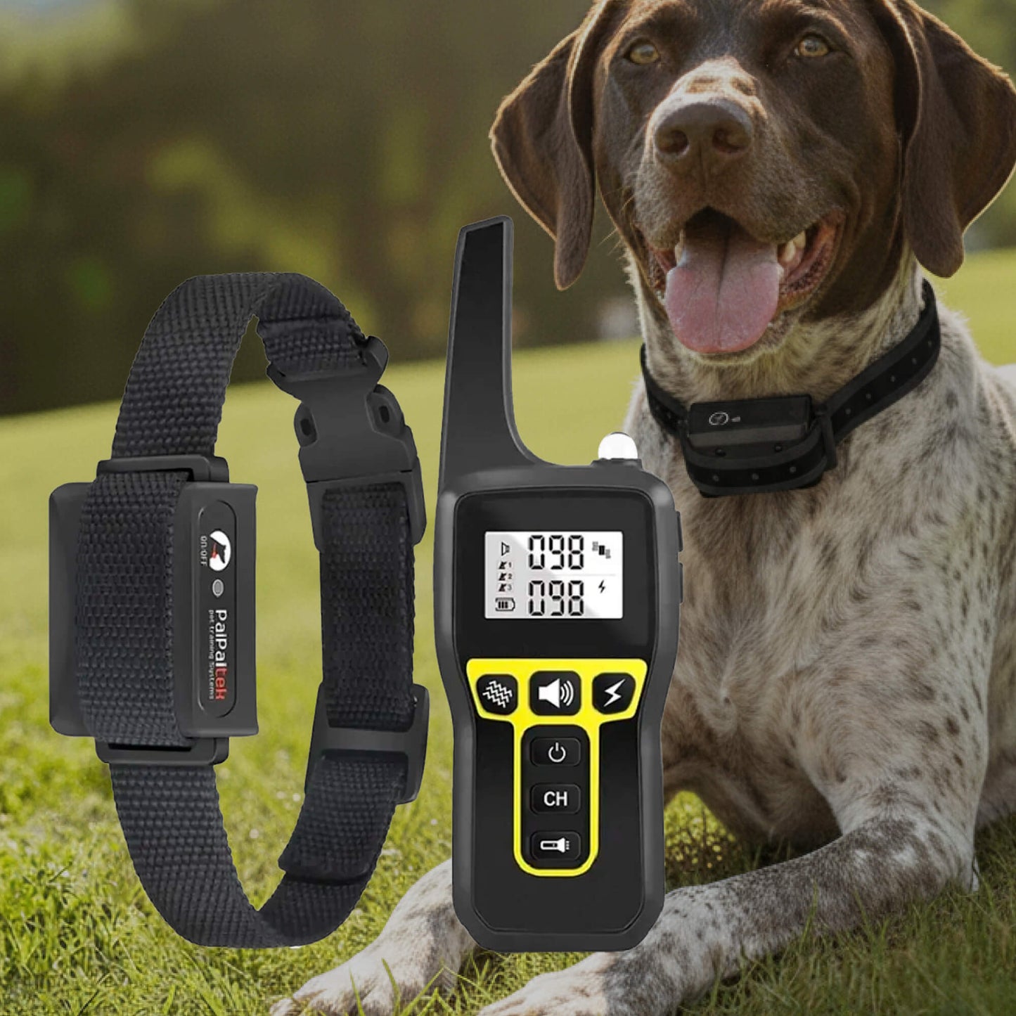 Avelena | 1000m wasserdichtes Hundetraining Halsband | Wiederaufladbar, Fernbedienung & verstellbar für kleine, mittlere und große Hunde