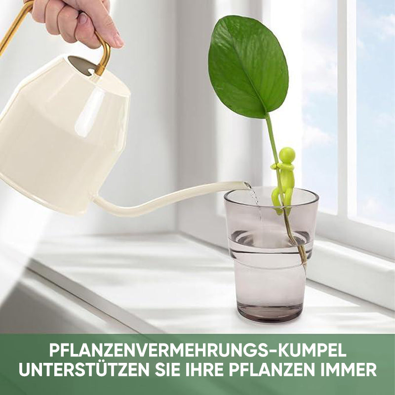 Avelena | Pflanzenvermehrungs-Freund