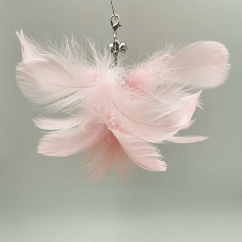 Avelena | VerspieltePfoten Kätzchen spielen Teaser Wand Spielzeug