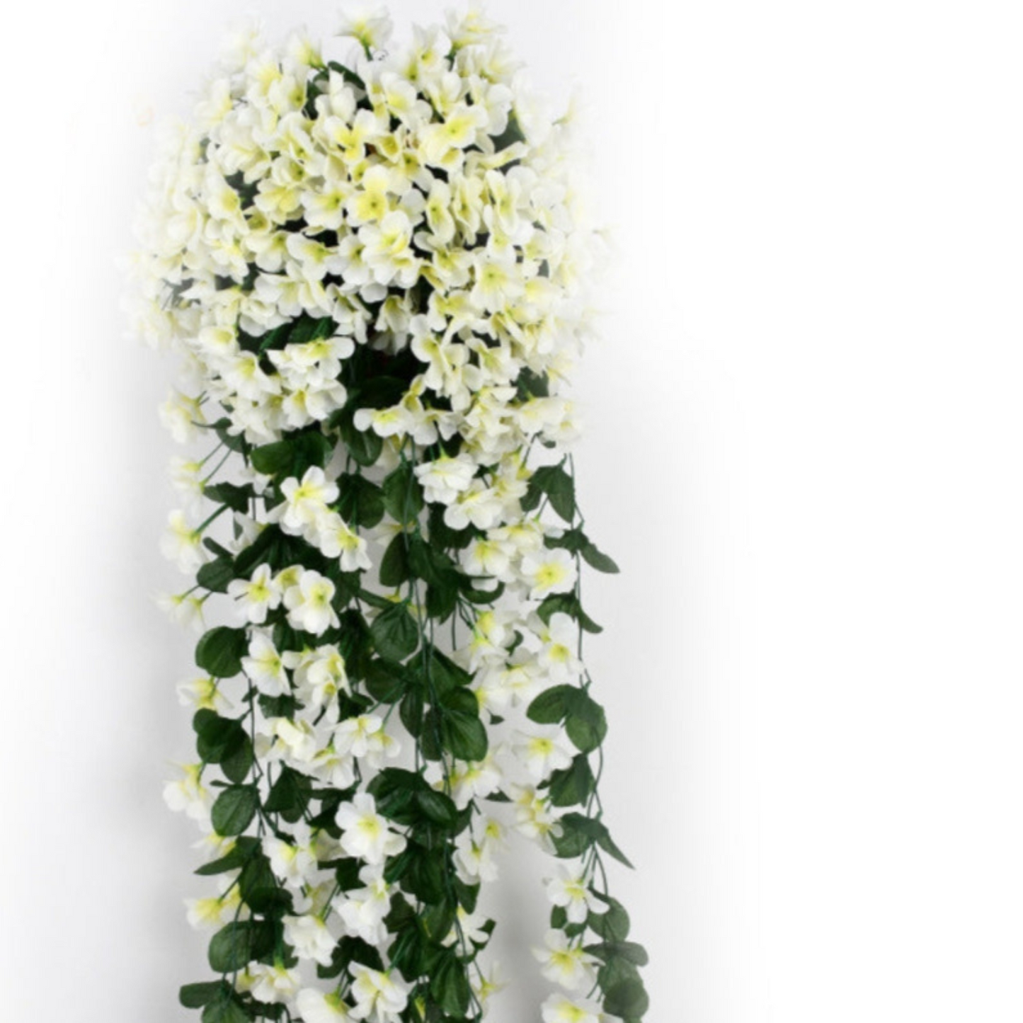 Avelena | PlantGlow – Natürliche Eleganz, dauerhaft frisch