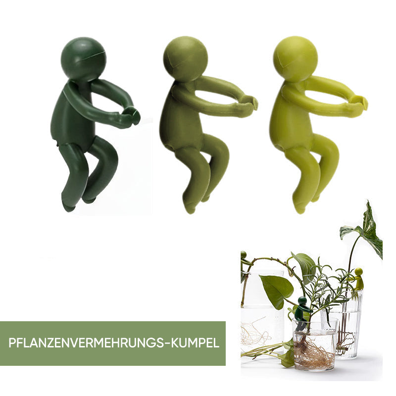 Avelena | Pflanzenvermehrungs-Freund