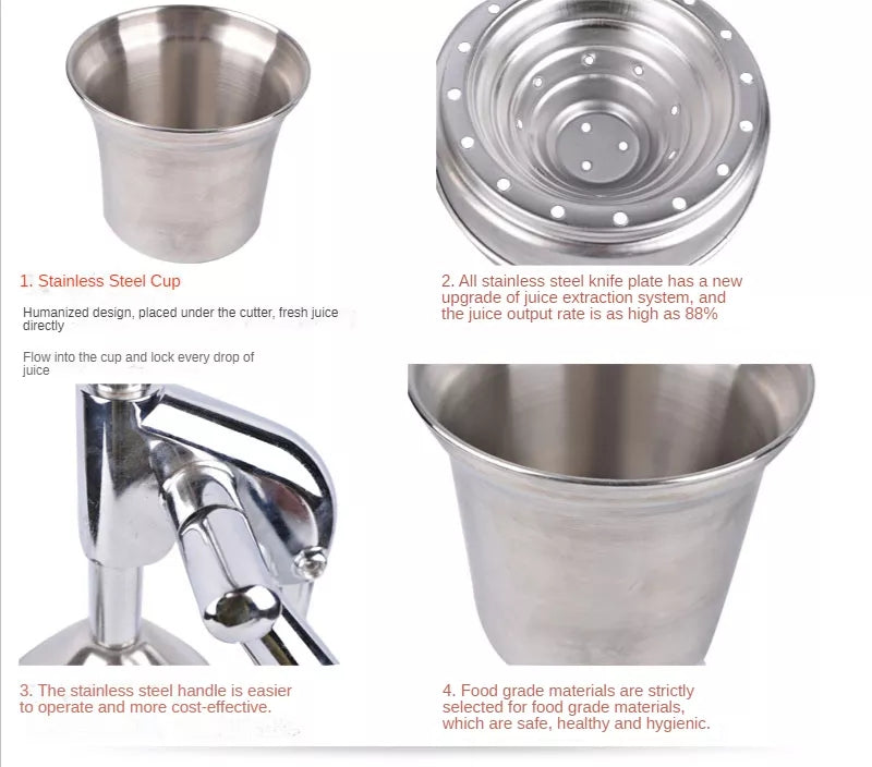 Avelena | Stainless Steel Fruit Juicer