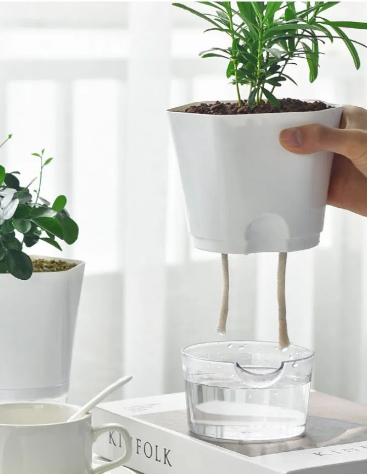 Avelena | Pflanzentopf mit Wasserreservoir – Selbstbewässernder Blumentopf für Zimmerpflanzen