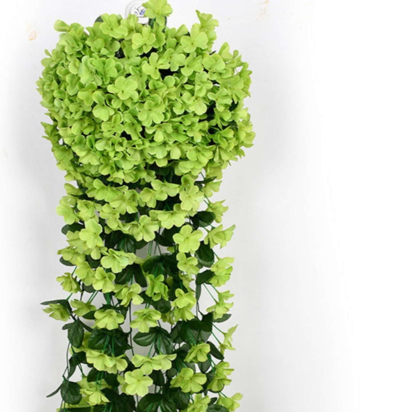 Avelena | PlantGlow – Natürliche Eleganz, dauerhaft frisch