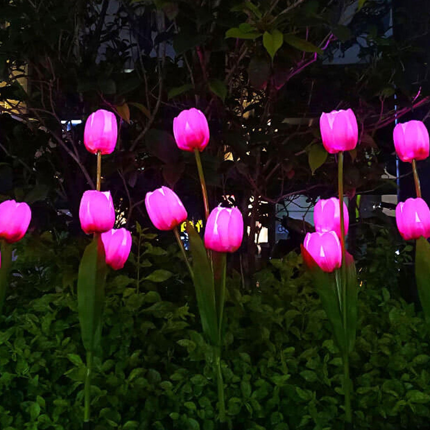 Avelena | Solar Tulpe Rasenlicht Außen Garten LED Tulpe Blumenlicht Bodenstecker Landschaftslicht