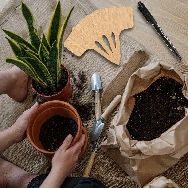 Avelena | Pflanzenschilder aus Holz für Garten und Balkon – Wiederbeschreibbare Etiketten für Kräuter und Pflanzen