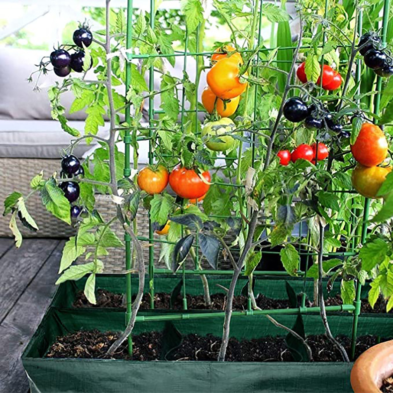 Avelena | Pflanzsack mit Mehrfachfächern – Robuste Gartenaufbewahrung für Pflanzen und Kräuter