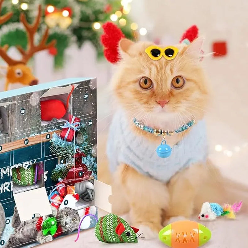 Avelena | Weihnachts-Countdown 2024 – Adventskalender für Katzenspielzeug