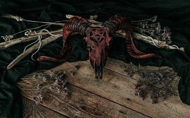 Avelena | Ausgehöhlter Widderkopf