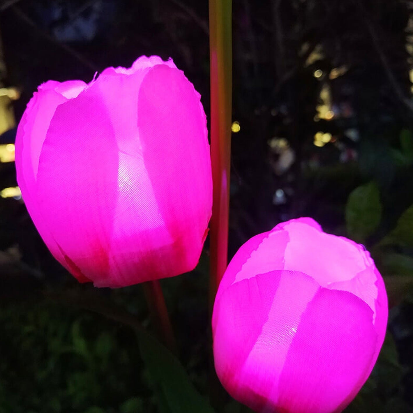 Avelena | Solar Tulpe Rasenlicht Außen Garten LED Tulpe Blumenlicht Bodenstecker Landschaftslicht
