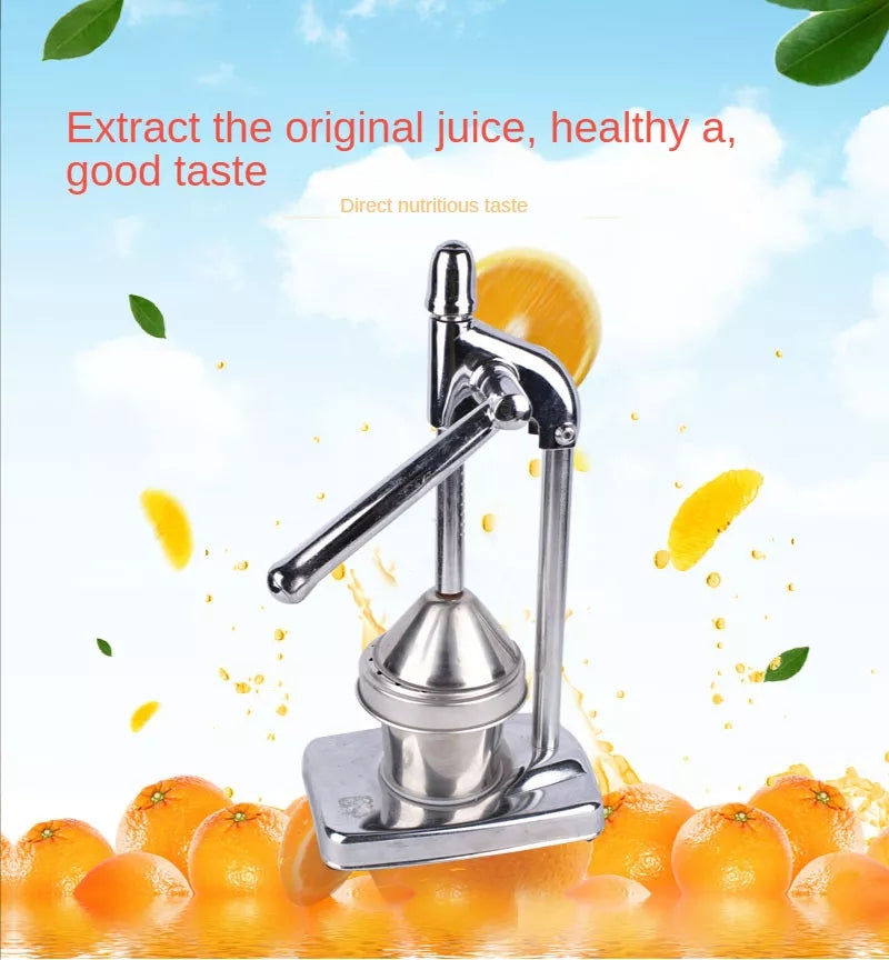 Avelena | Stainless Steel Fruit Juicer