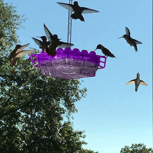 Avelena | Ants Resistant Hummingbird Feeder | 30 Feeding Openings, UV Resistant & Ideal for Outdoor Bird Watching
