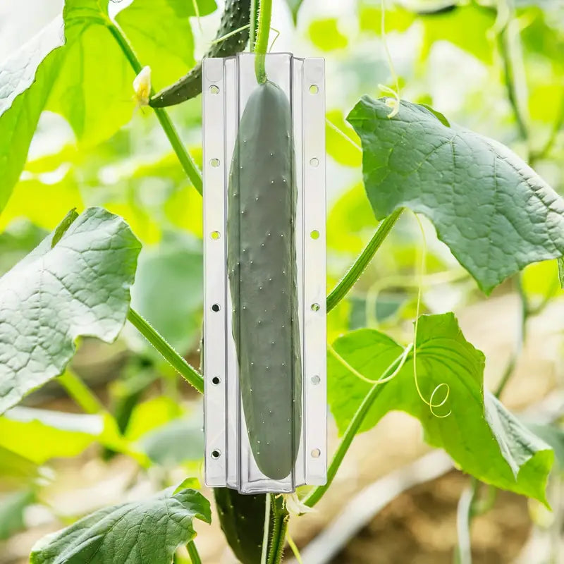 Avelena | Sternform Gemüseform für Gurken – Kreative Formschiene für Obst und Gemüse