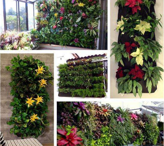 Avelena | Pflanzenwand Taschen für Garten – Vertikaler Pflanzer für Innen und Außen