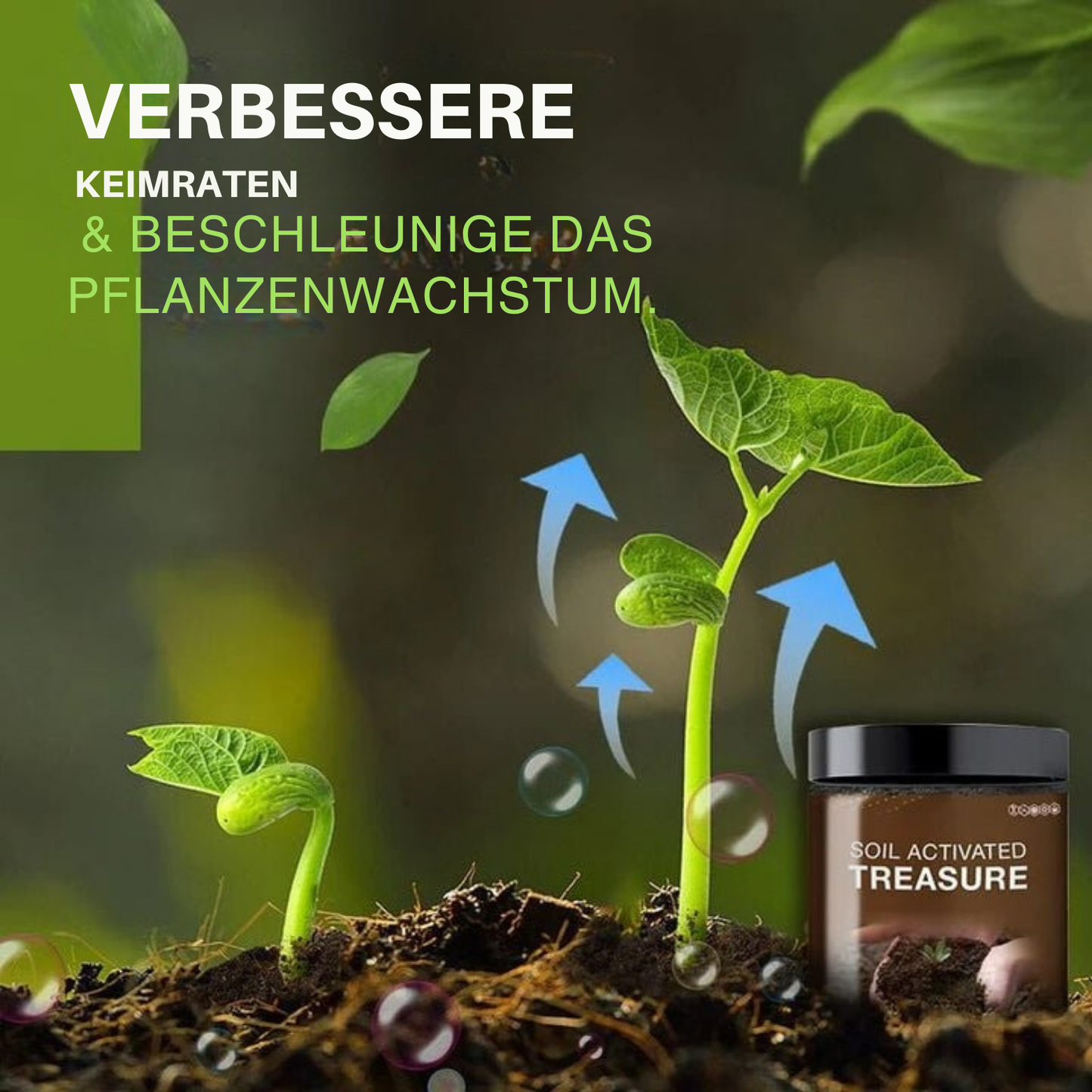 Avelena | SicherWachsen Schnelle Gartenrestaurierung