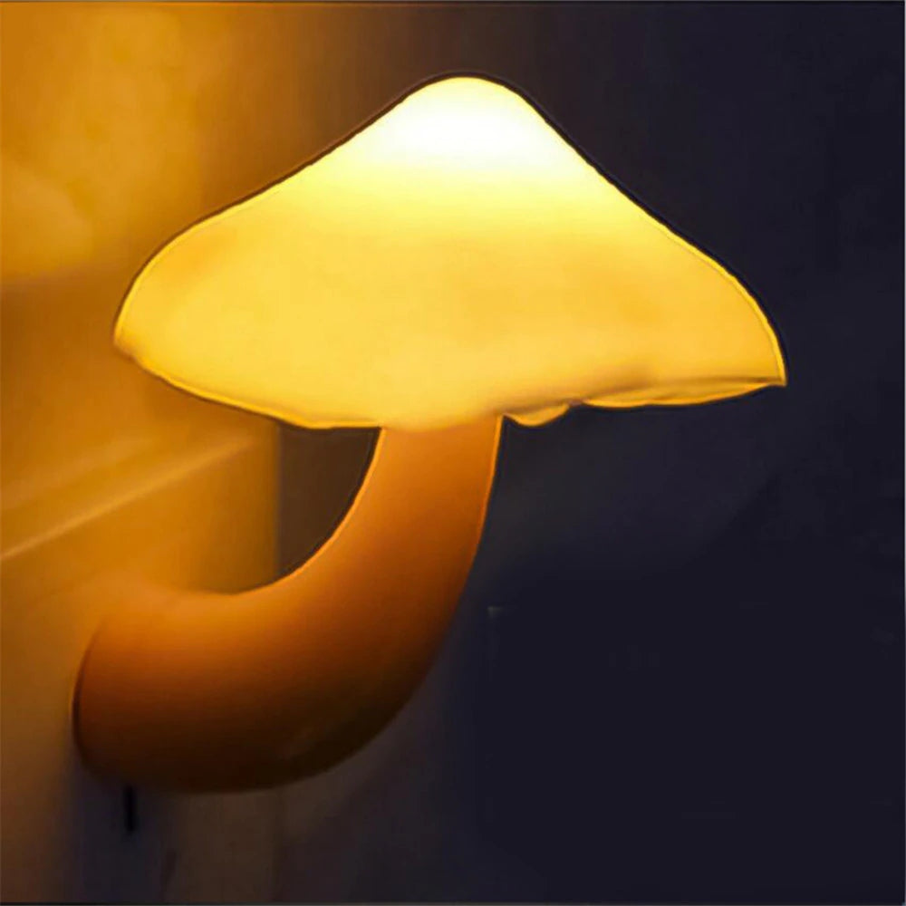 Avelena | Pilz Wandsteckdosenlicht