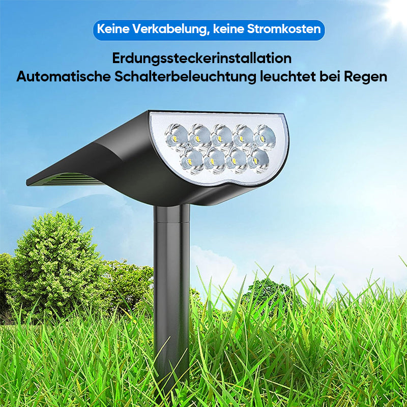 Avelena | SunGlow Spot – Licht, das mit der Sonne lebt