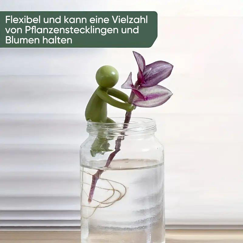 Avelena | Pflanzenvermehrungs-Freund