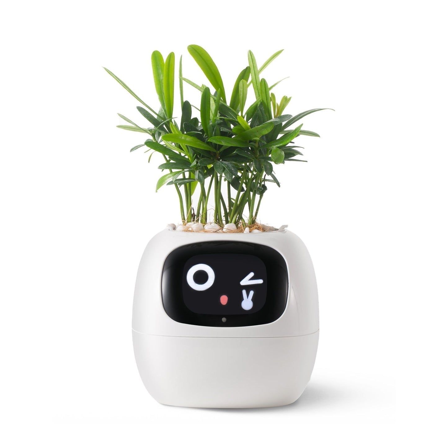 Avelena | VerdeGlow – Selbstbewässernder Smart-Pflanzen Topf | Automatische Bewässerung | Moderner Indoor-Pflanzer