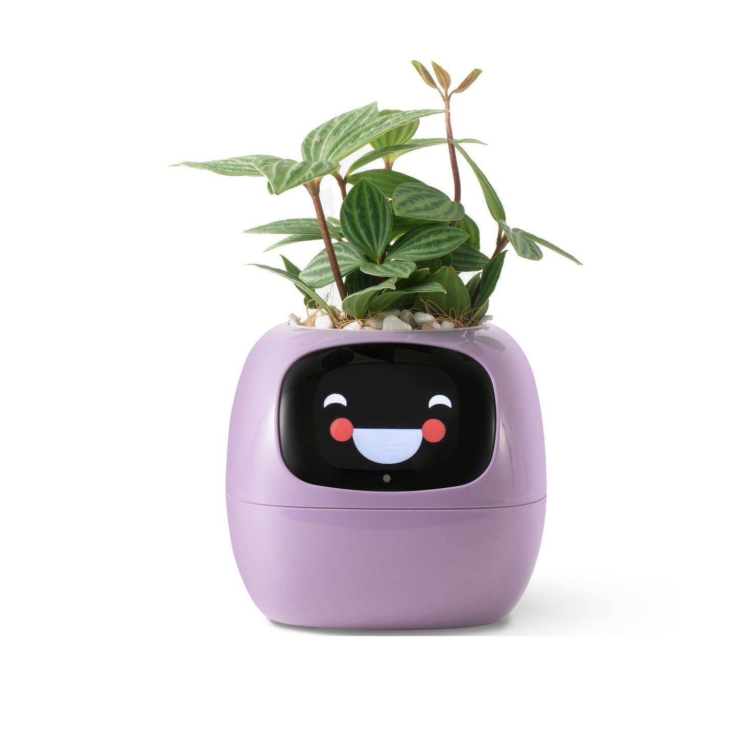 Avelena | VerdeGlow – Selbstbewässernder Smart-Pflanzen Topf | Automatische Bewässerung | Moderner Indoor-Pflanzer