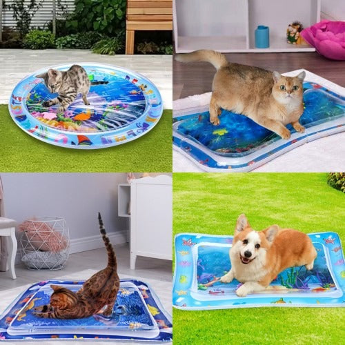 Avelena | Pet Wasser Sensorik Matte