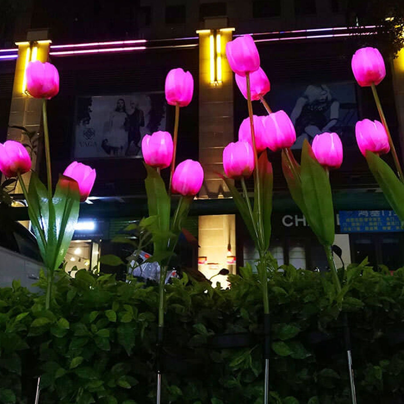 Avelena | Solar Tulpe Rasenlicht Außen Garten LED Tulpe Blumenlicht Bodenstecker Landschaftslicht