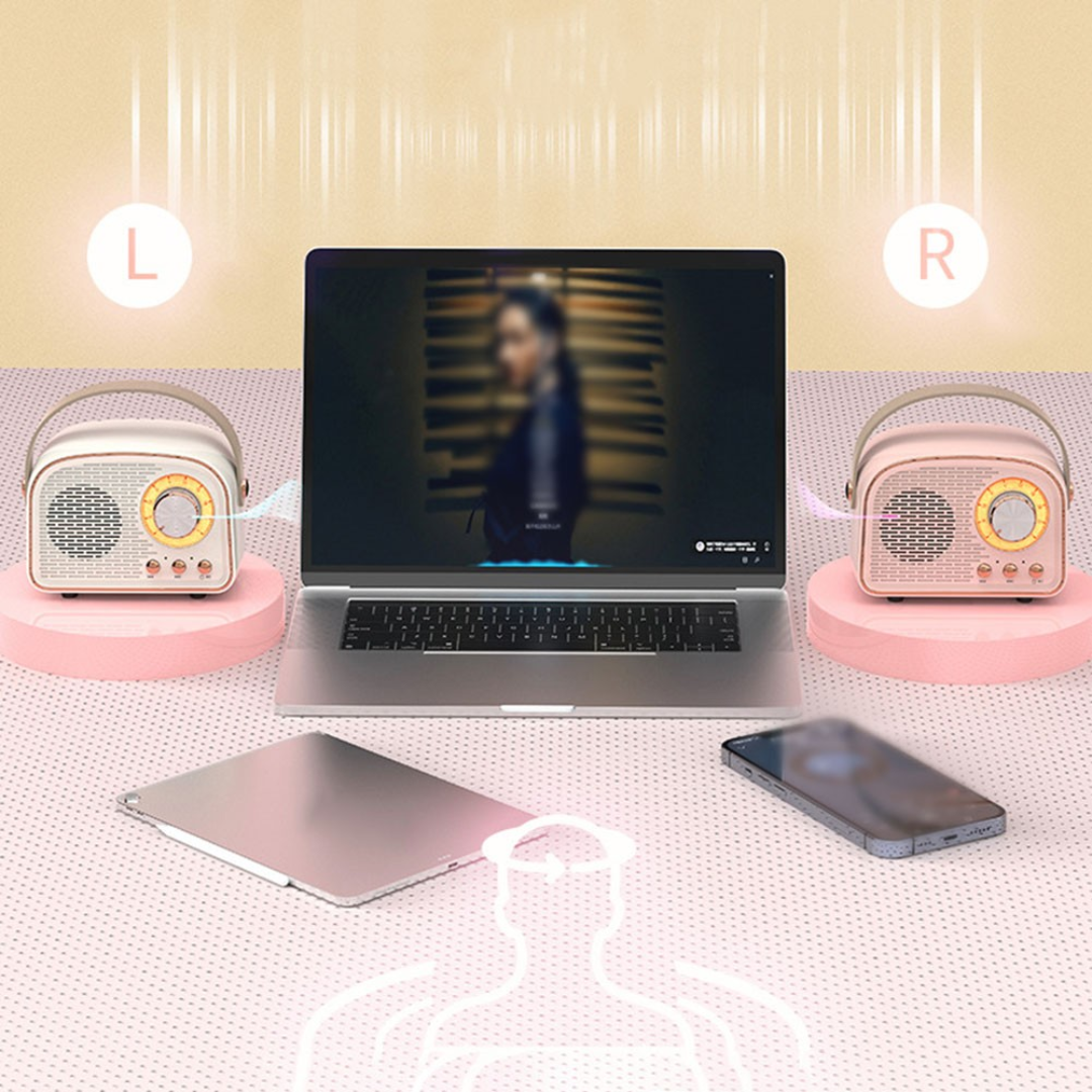 Avelena | SoundJoy | Tragbarer Retro Lautsprecher mit FM Radio
