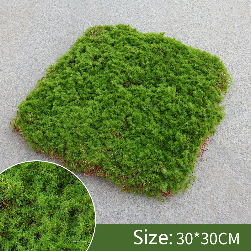 Avelena | Moos-Überzug Stück – Moos Flocken Ornament für Dekoration und Landschaftsgestaltung
