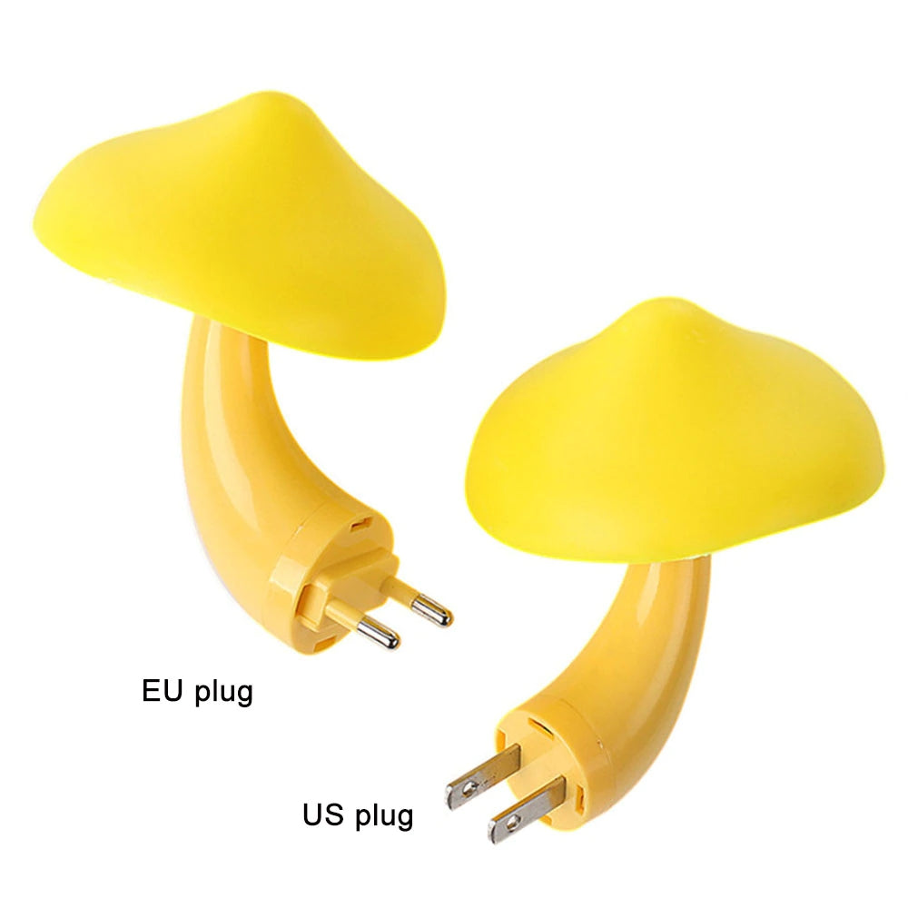 Avelena | Pilz Wandsteckdosenlicht