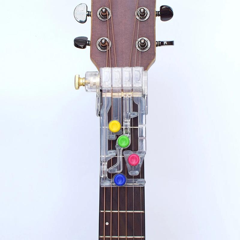 Avelena | StringLeitfaden Master Guitar Basics