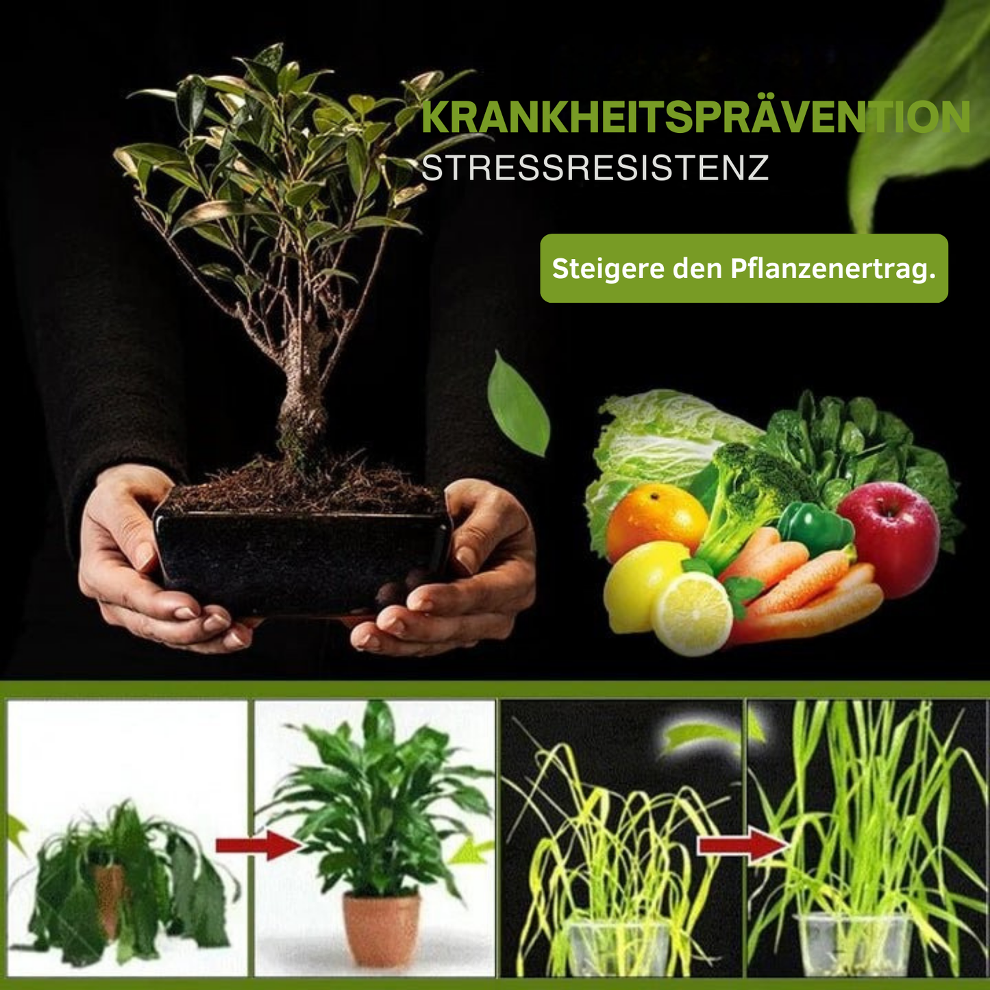 Avelena | SicherWachsen Schnelle Gartenrestaurierung