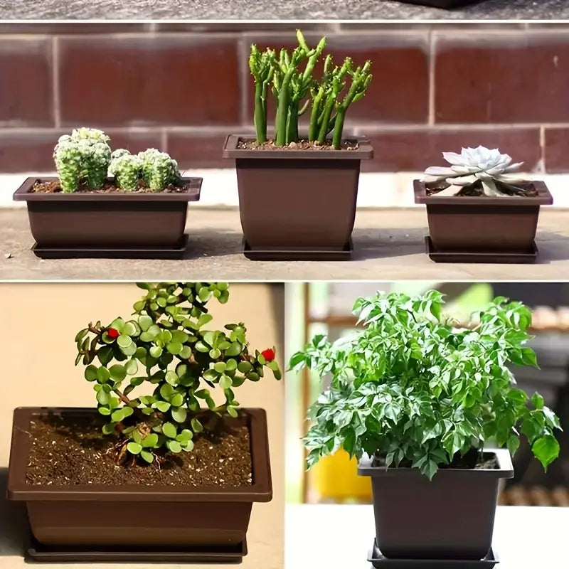 Avelena | Pflanzkübel mit Untersetzer – Rechteckiger Blumentopf für Garten und Balkon