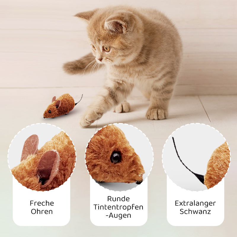 Avelena | CatPlay – Jagen, spielen, juchzen – der Spaß für deine Katze!