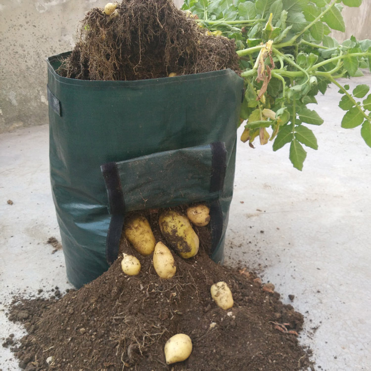 Avelena | Pflanzsack für Kartoffeln – Wiederverwendbar und mit Sichtfenster