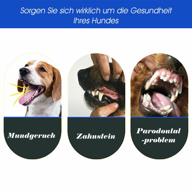 Avelena | Pet Drei-Kopf-Zahnbürste