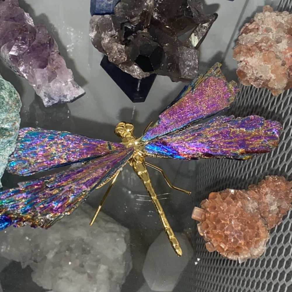 Avelena | Aurora Libelle Charm