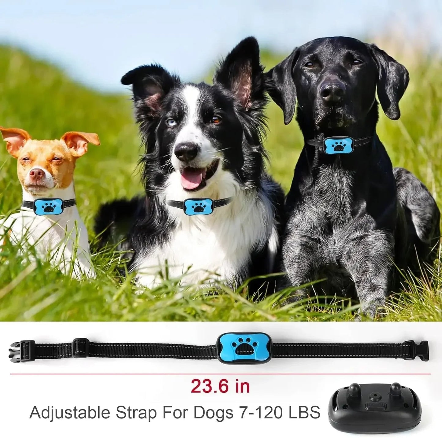 Avelena | Anti-Bell Hundehalsband – Stoppen Sie unerwünschtes Bellen mit dem BarkBuddy Vibrationstraining-Halsband für Hunde