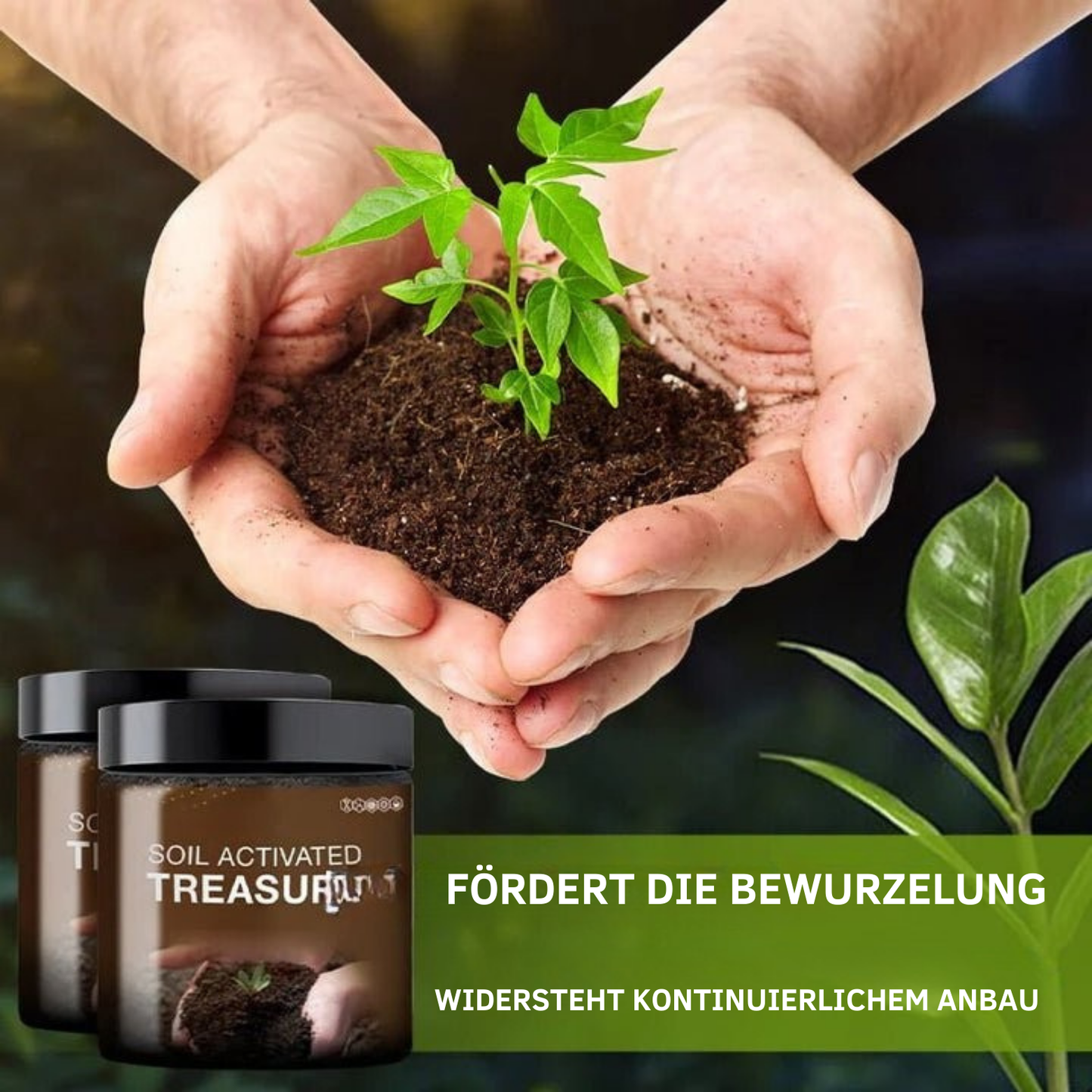 Avelena | SicherWachsen Schnelle Gartenrestaurierung