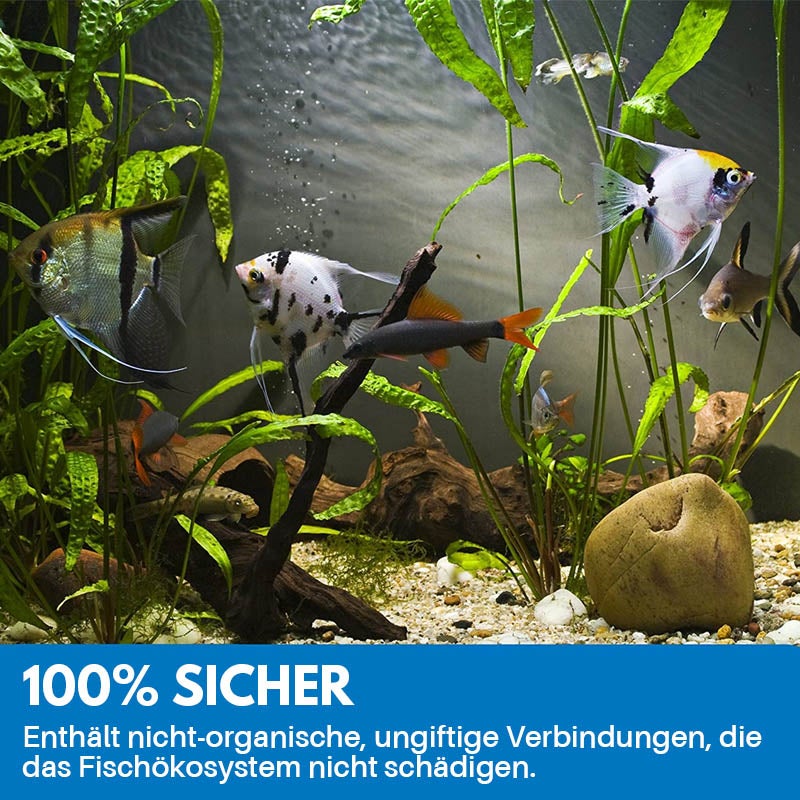 Avelena | Reinigungspulver Für Aquarium