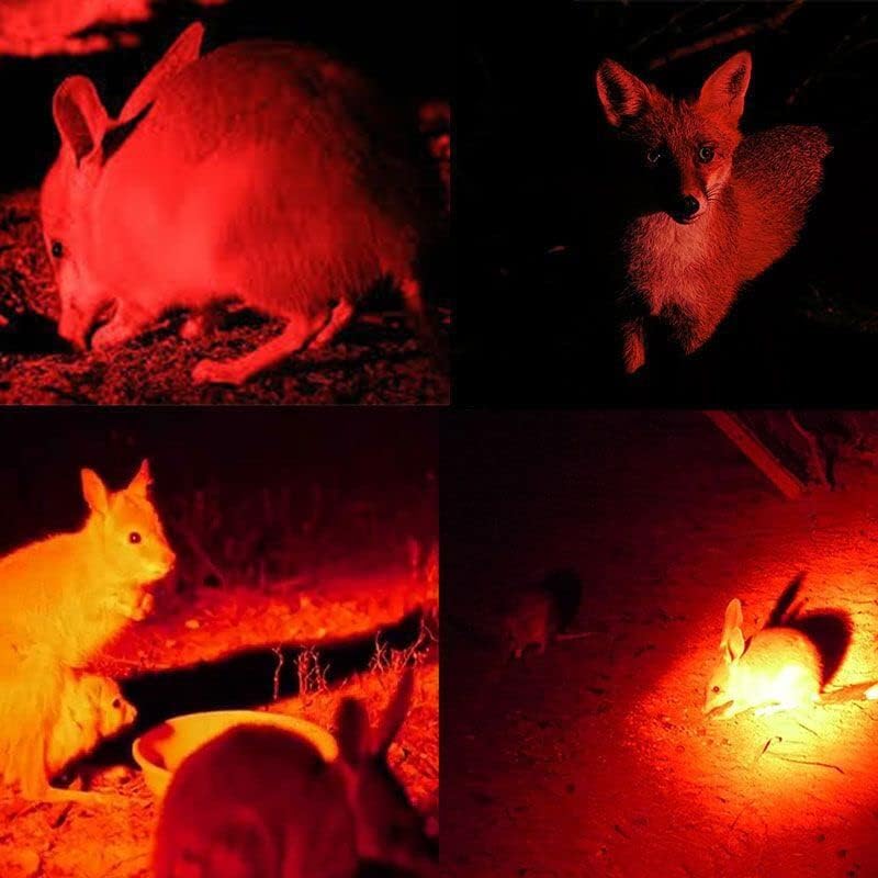 Avelena | Wiederaufladbare LED Stirnlampe mit Weiß-, Rot- und Grünlicht – Leistungsstarke Kopflampe mit USB und Akku