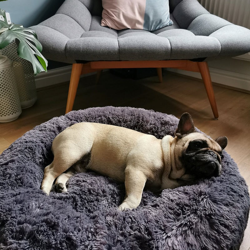 Avelena | Runder Plüsch Beruhigender Donut Hundebett für kleine bis große Hunde
