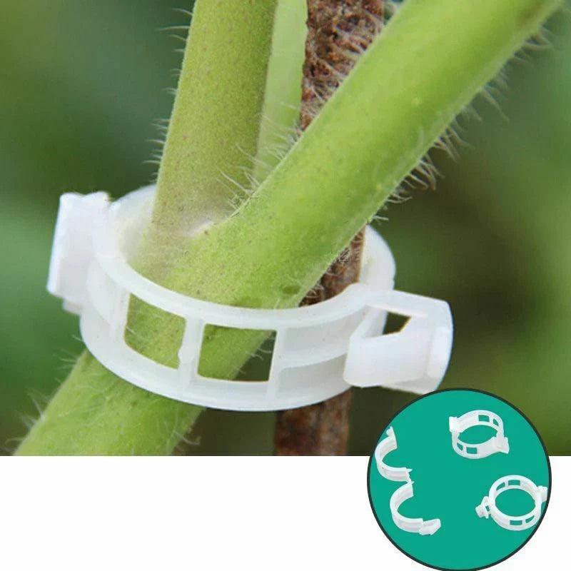Avelena | Pflanzenstützclip für Kletterpflanzen – Flexibler Halter für Pflanzenstämme