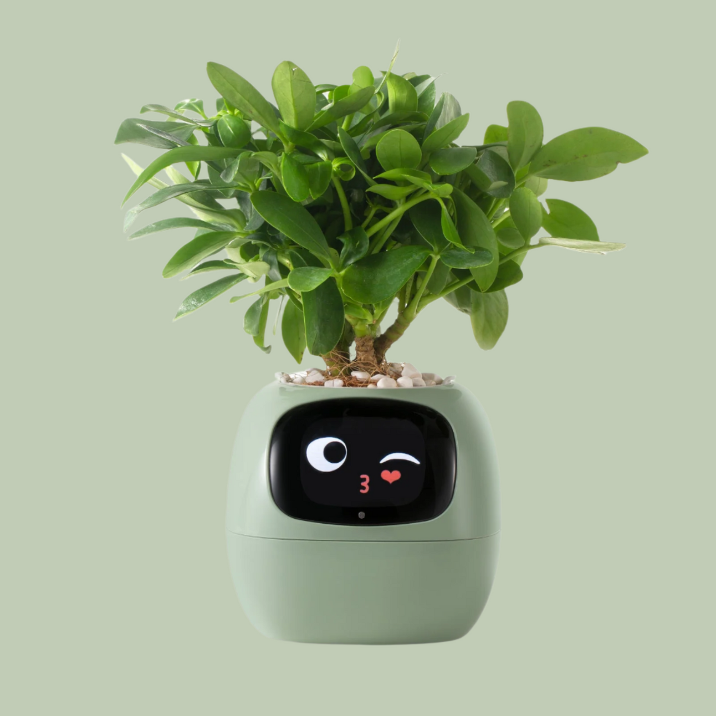 Avelena | VerdeGlow – Selbstbewässernder Smart-Pflanzen Topf | Automatische Bewässerung | Moderner Indoor-Pflanzer
