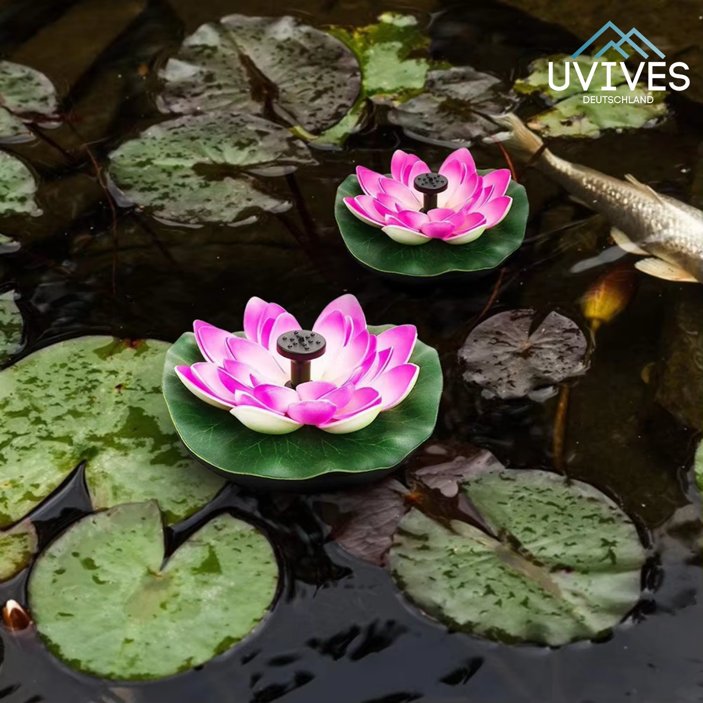 Avelena | SunFlow – Magischer Solarspringbrunnen für deinen Garten